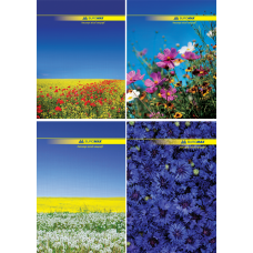 Книга канцелярська NATURE, А4, 96 арк., клітинка, офсет, тверда ламінована обкладинка, асорті BM.2400